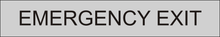 Load image into Gallery viewer, Critical door sign featuring 'Emergency Exit,' emphasizing the location of an essential exit route for emergency evacuation within the facility