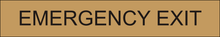 Load image into Gallery viewer, Critical door sign featuring 'Emergency Exit,' emphasizing the location of an essential exit route for emergency evacuation within the facility