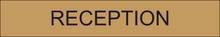 Load image into Gallery viewer,  Inviting door sign featuring 'Reception' in clear lettering, marking the entrance to the central reception area within the facility.
